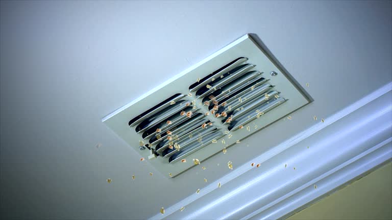 Best Local Air Duct Cleaning Services  in Mascoutah, IL