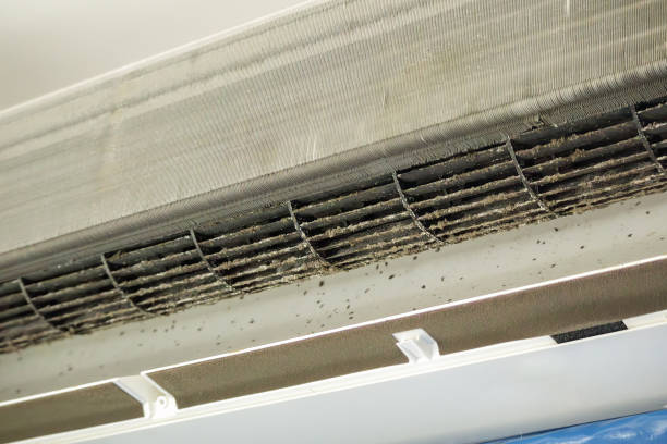 Best Affordable HVAC Duct Cleaning  in Mascoutah, IL